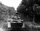 Vietnam: US Army M113 armoured personnel carriers and M4SA3 tanks deploy between jungle and a rubber plantation in the 'Iron Triangle' north of Saigon, January 1967